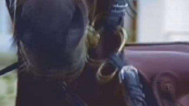 Dorel Banci - Crescu frunza si o dat iarba.AVI смотреть онлайн