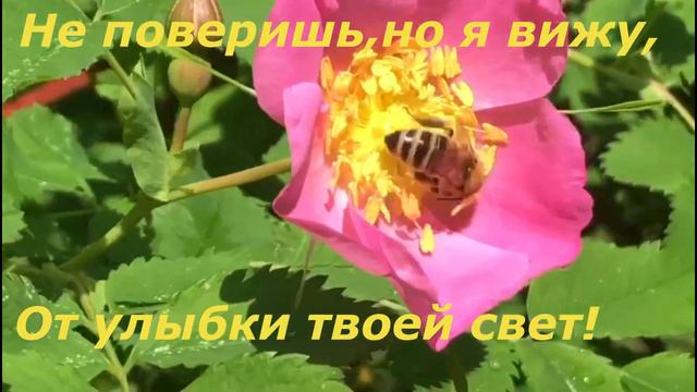 ЭТОТ ПРИВЕТИК ОТ МЕНЯ! смотреть онлайн