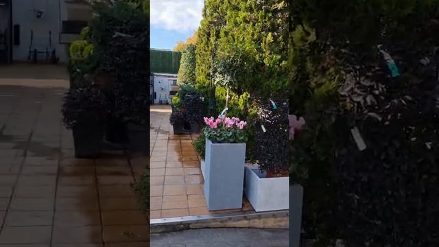 павильон цветов и деревьев на Педральбесе смотреть онлайн