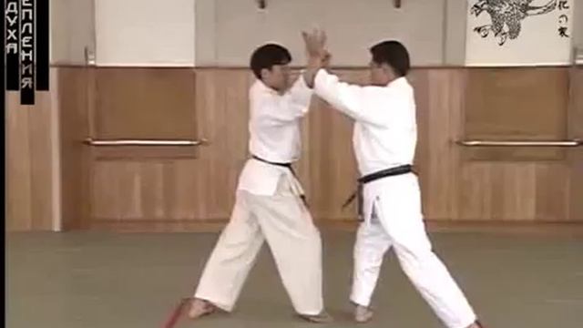 Ёкомен учи коте гаеси ичи смотреть онлайн