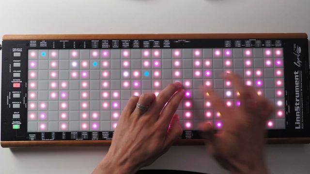 Lari Basilio - Explorer On LinnStrument