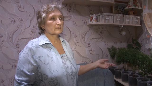 Как выращивать МИРТ смотреть онлайн