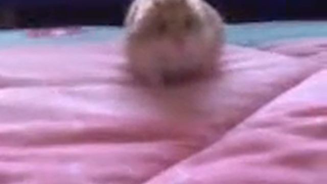 lada potenciado con peugeot 605 смотреть онлайн