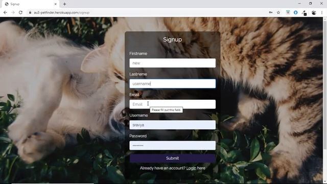 PetFinder - A Web App for Pet Adoption | Software Engineer Course's Project (Demo 2) смотреть онлайн