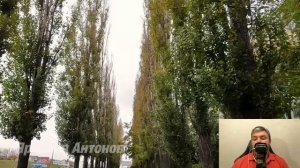 Рассказ о тайной жизни молодой жены и бумеранге судьбы