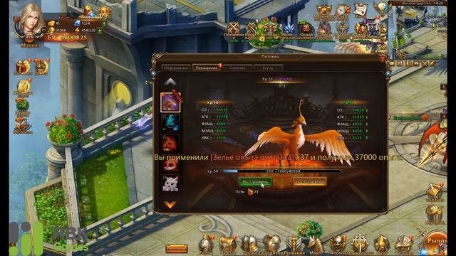 Гайд по игре Лига Ангелов 2 - Питомец смотреть онлайн