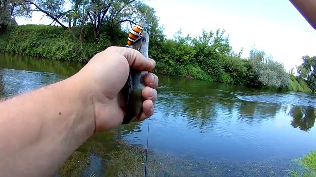 Ловля окуня на воблеры 3. Он спасает от нуля!!! смотреть онлайн