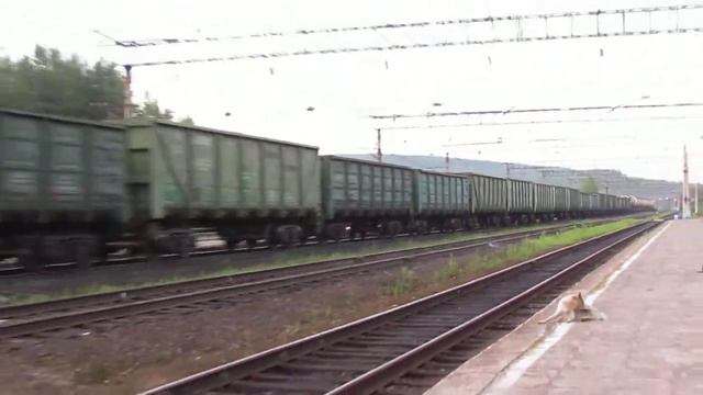 ВЛ80с-1683 Княжая ОК жд смотреть онлайн