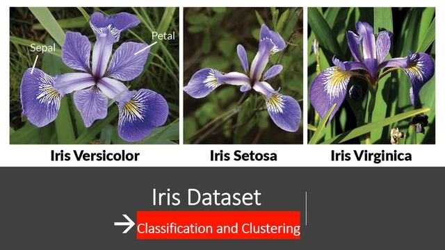 Top 5 Datasets for Machine Learning and Data Science For Beginners смотреть онлайн