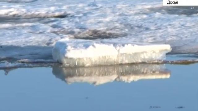 Ледоход в Барнауле ожидают в конце недели смотреть онлайн