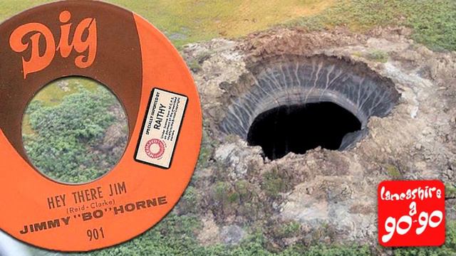 JIMMY BO HORNE - HEY THERE JIM смотреть онлайн