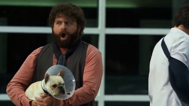 Due Date, Sunny spit смотреть онлайн