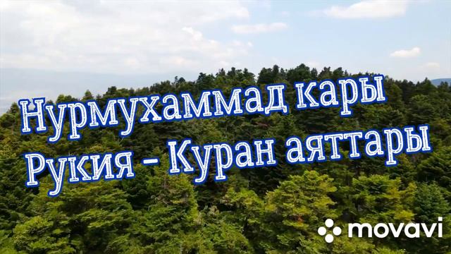 Нурмухаммад кары смотреть онлайн