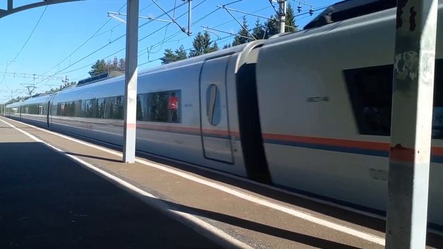 Сдвоенный электропоезд "сапсан" ЭВС1-18 и ЭВС1-13 проследовал платформу Трубниково смотреть онлайн