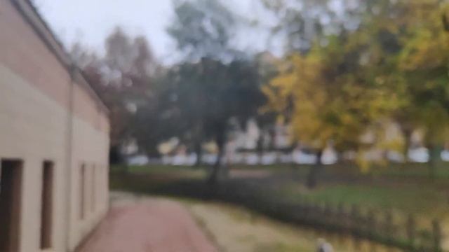 POCOPHONE F1 EN 2019 ¿VALE LA PENA???? смотреть онлайн