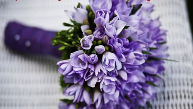 Видео открытка . С днем 8 Марта ! Шикарное поздравление подруге. смотреть онлайн