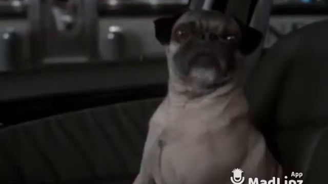 Kastrace смотреть онлайн