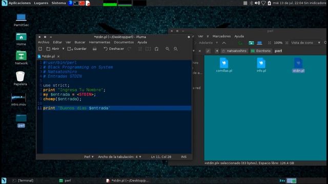 Curso de Perl 3 Entradas STDIN смотреть онлайн