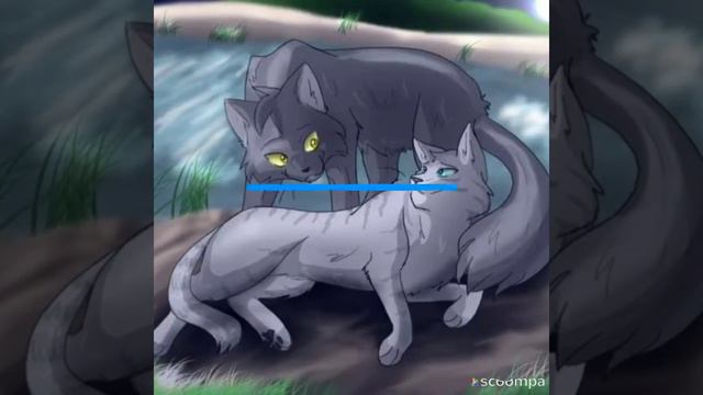 Коты воители пары смотреть онлайн
