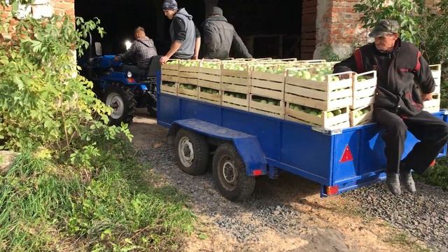 Минитрактор // работа в саду + саляра в редуктор смотреть онлайн