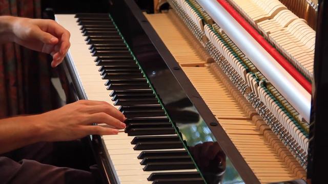 Alkan - Prelude Op. 31 Nr. 17 c-Moll смотреть онлайн