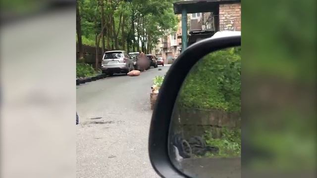 Владивосток смотреть онлайн