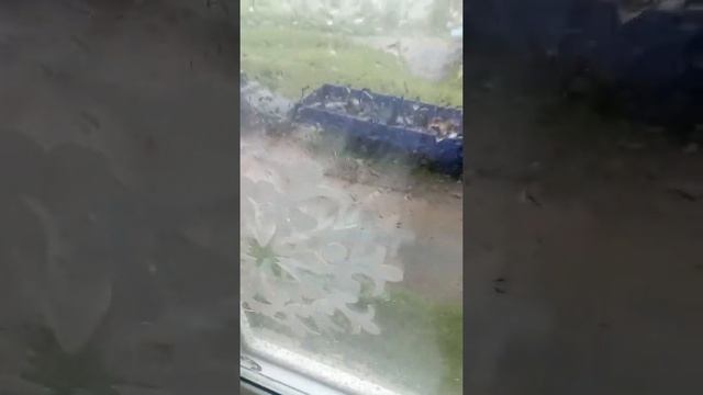 Вот наше лето Урал смотреть онлайн