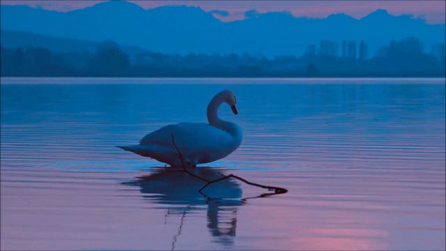 Chopin Etudes. Etude Op. 10, no. 6 in E flat minor - 'Lament' смотреть онлайн