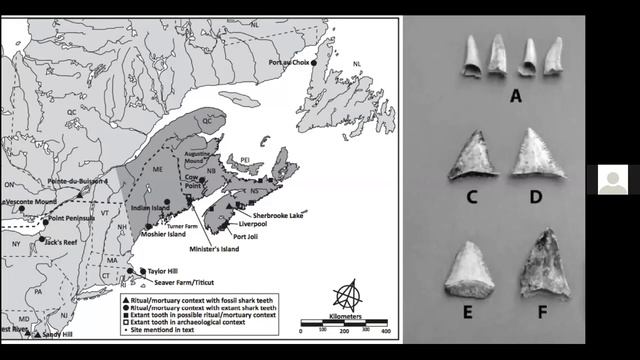 Return of the White Shark, Presented by Ret Talbot смотреть онлайн