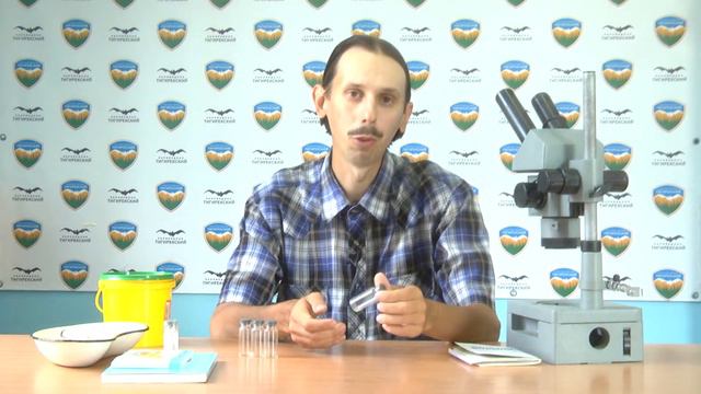 «Живая вода». Наблюдение за водными организмами смотреть онлайн