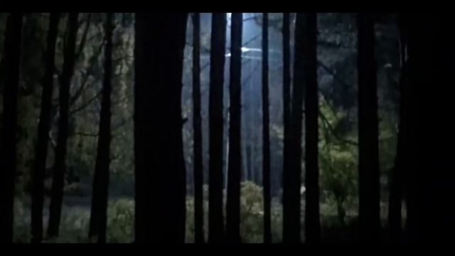 wcmv: я взлетаю как ракета//Wild Craft// Ч.О смотреть онлайн