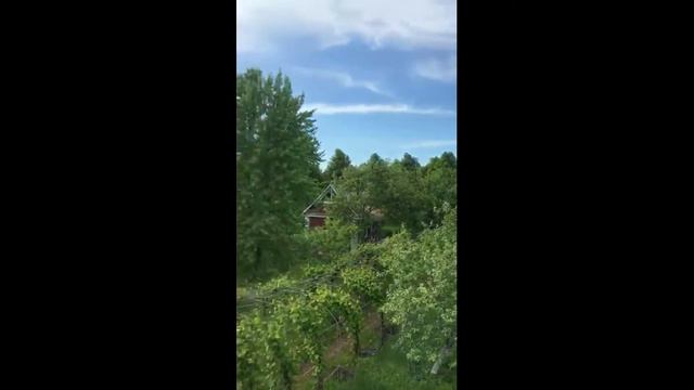 Синий дом смотреть онлайн