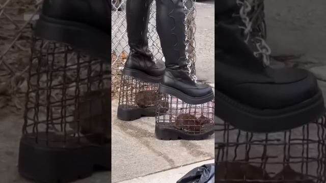 Думаю, я просто вернусь домой ??♂️