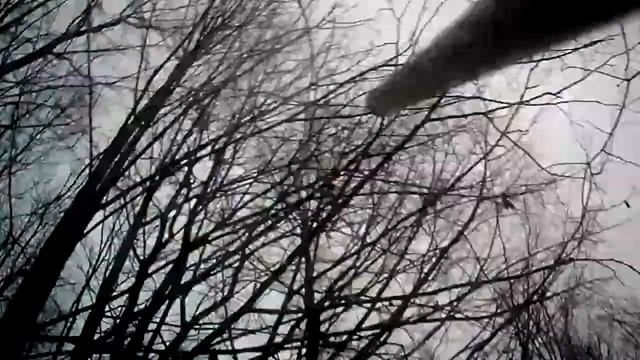 ЗСЛ буянчик, охота на куницу смотреть онлайн
