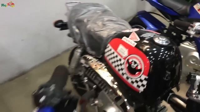 All kinds of Mini Sports bikes смотреть онлайн