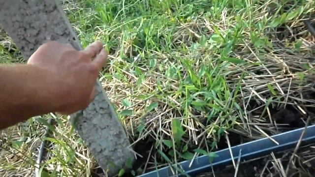 Виды полива 2016