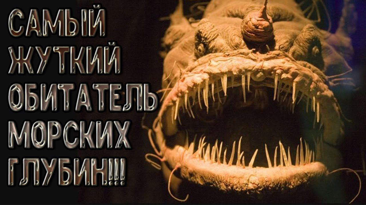 Рыба удильщик! Обитатель морских глубин! МОРСКОЙ ЧЁРТ!!!