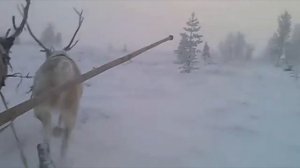 Кола Бельды - Мы поедем, мы помчимся на оленях утром...