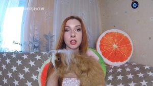 КУПИТЬ ОДНУ ИЛИ ДВЕ МОРСКИЕ СВИНКИ? Когда Морская Свинка Может Жить Одна