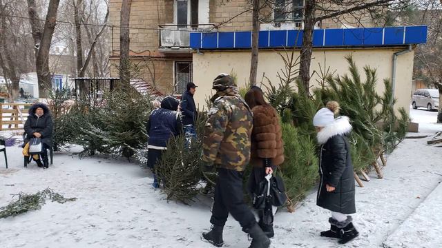 Тирасполь, первый снег, купил ёлку смотреть онлайн