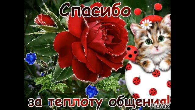 С МЕЖДУНАРОДНЫМ Днём  