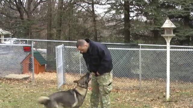 Off lead training your dog camping and hiking, Equip 2 Endure смотреть онлайн