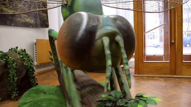 Интерактивная выставка -аттракцион "Насекомые - монстры" смотреть онлайн