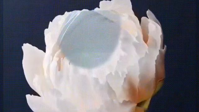 С приближением трёх благословенных месяца. Раджаб, Шабан, Рамадан. смотреть онлайн