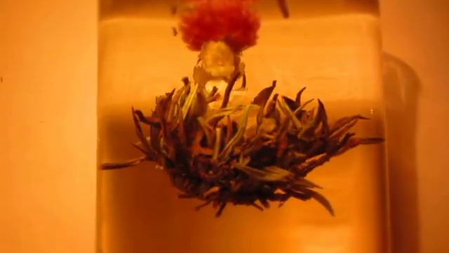 Вязанный чай смотреть онлайн