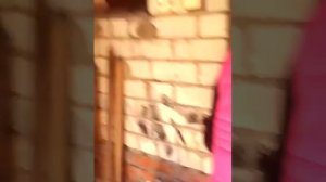 Пирсинг яиц