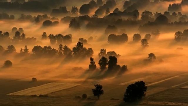 Serenade ~ David Garrett ~