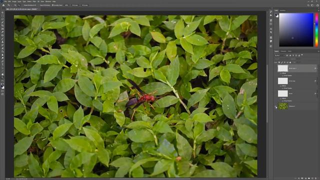 Photoshop | Isolate Layer Visibility смотреть онлайн