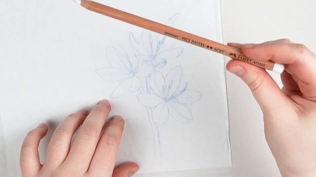 Что такое Калька и как применять? Перенос изображения на чёрную бумагу. Создание чистого наброска. смотреть онлайн