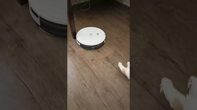 вся правда а роботе пылесосе Yeedi K650